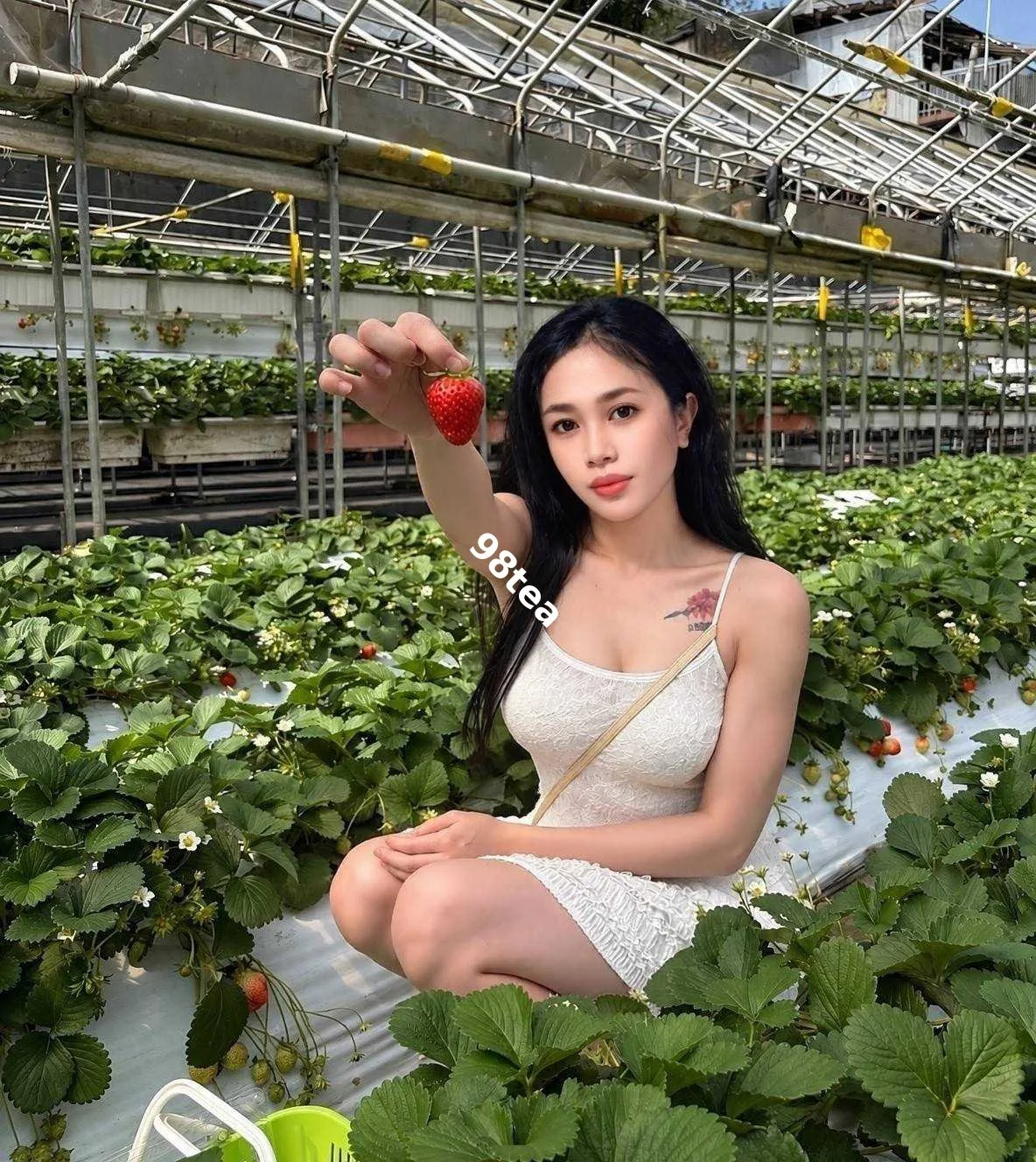 安恩真